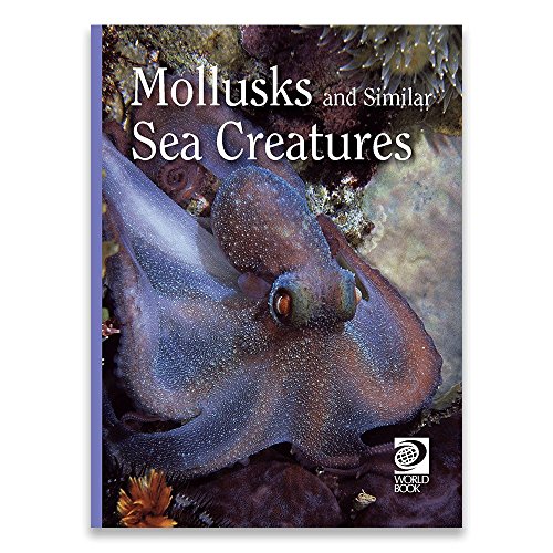 9780716604075: Mollusks and Similar Sea Creatures