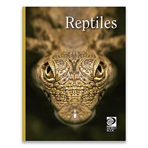 Beispielbild fr Reptiles zum Verkauf von Better World Books