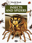 9780716618065: Insects & Spiders (Looks at Series)