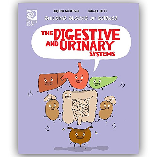 Stock image for The Digestive and Urinary Systems for sale by Better World Books