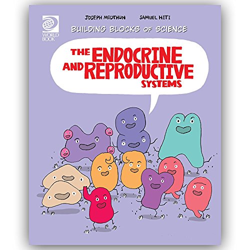 Stock image for The Endocrine and Reproductive Systems for sale by Better World Books