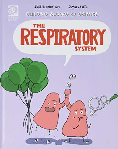 Stock image for The Respiratory System for sale by ThriftBooks-Dallas