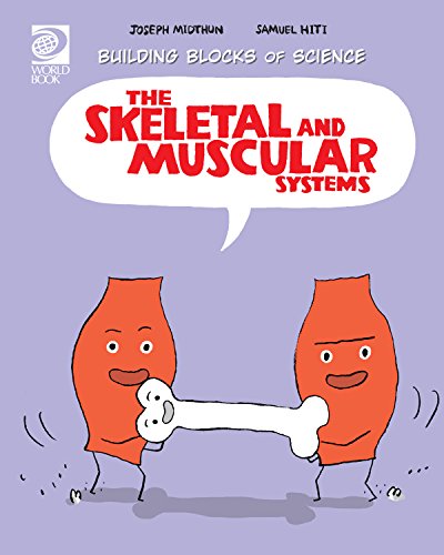 Beispielbild fr Skeletal and Muscular Systems zum Verkauf von ThriftBooks-Atlanta