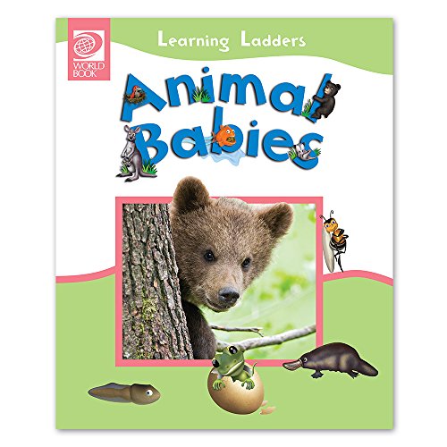 Stock image for Animal Babies for sale by Bookmonger.Ltd