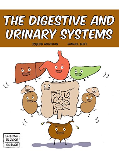 Stock image for The Digestive and Urinary Systems (Building Blocks of Life Science 1/Hardcover) for sale by HPB-Ruby