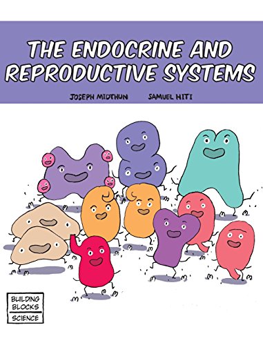 Stock image for The Endocrine and Reproductive Systems for sale by ThriftBooks-Dallas