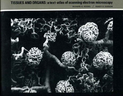 Imagen de archivo de Tissues and Organs: A Text-Atlas of Scanning Electron Microscopy a la venta por HPB-Red