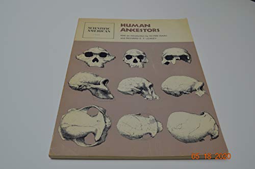 Stock image for Human Ancestors: Readings from Scientific American for sale by Once Upon A Time Books