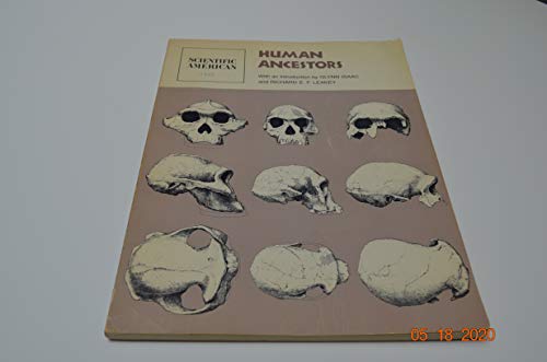 Stock image for Human Ancestors: Readings from Scientific American for sale by Free Shipping Books