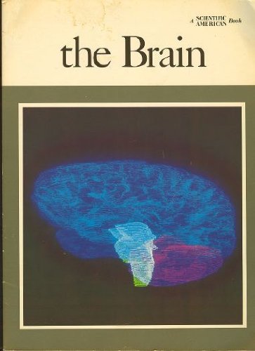 Stock image for The Brain : A Scientific American Book for sale by Better World Books