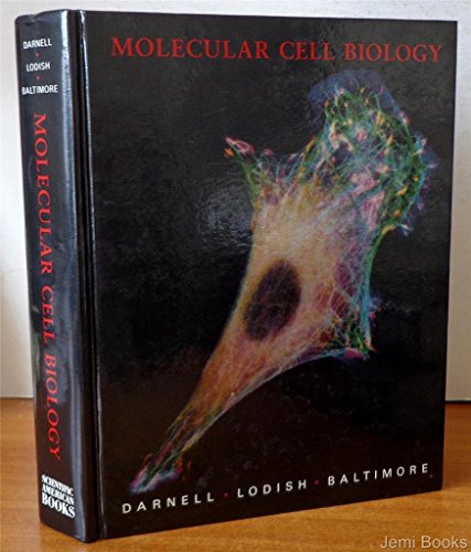 Molecular Cell Biology. par Darnell, James; Harvey Lodish und David Baltimore: Pappband (1986) | Antiquariat am St. Vith Molecular Cell Biology. par Darnell, James; Harvey Lodish und David Baltimore: Pappband (1986) | Antiquariat am St. Vith
