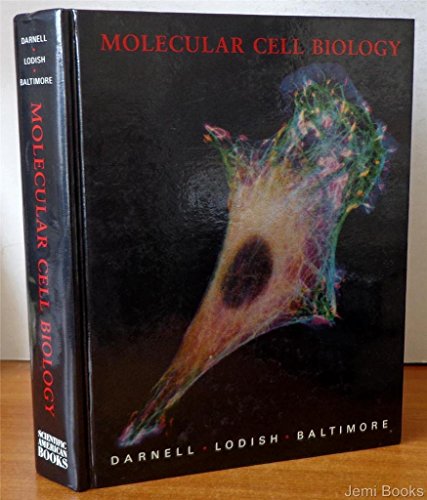 Stock image for Molecular Cell Biology for sale by Loyal Oak Books