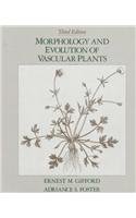 Beispielbild fr Morphology and Evolution of Vascular Plants zum Verkauf von GridFreed
