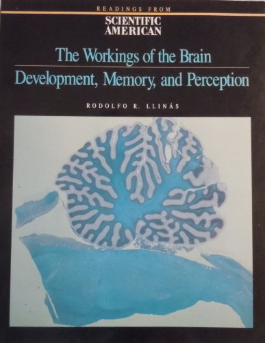 Imagen de archivo de The Workings of the Brain: Development, Memory, and Perception (Readings from Scientific American) a la venta por Wonder Book