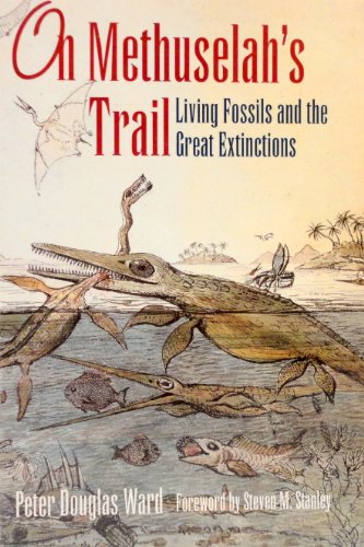 Beispielbild fr On Methuselah's Trail: Living Fossils and the Great Extinctions zum Verkauf von WorldofBooks