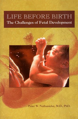 Imagen de archivo de Life Before Birth: The Challenges of Fetal Development a la venta por Wonder Book