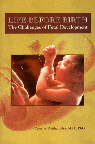 Stock image for Life Before Birth and a Time to Be Born: The Challenges of Fetal Development for sale by ThriftBooks-Dallas