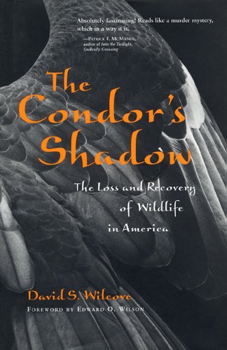 Imagen de archivo de THE CONDOR'S SHADOW : The Loss and Recovery of Wildlife in America a la venta por 100POCKETS