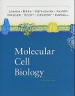 9780716731368: Molecular Cell Biology