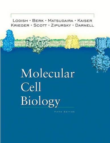 Imagen de archivo de Molecular Cell Biology a la venta por Better World Books