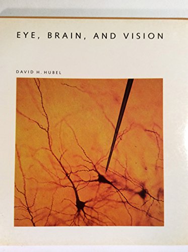 9780716750208: Eye, Brain and Vision ("Scientific American" Library)