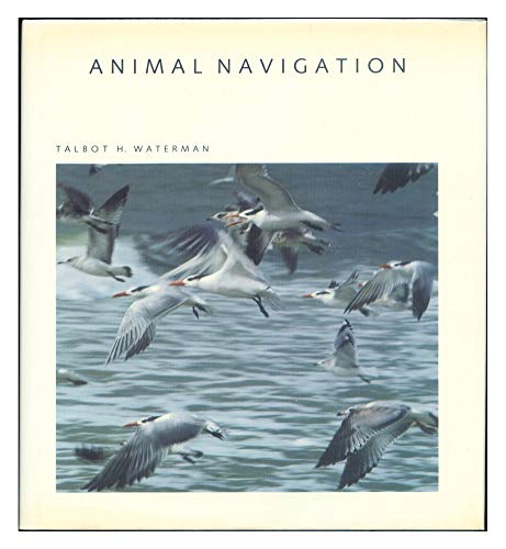 Beispielbild fr Animal Navigation zum Verkauf von Better World Books: West