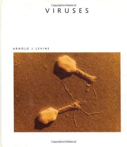 Imagen de archivo de Viruses: A Scientific American Library Book a la venta por Bluff Books
