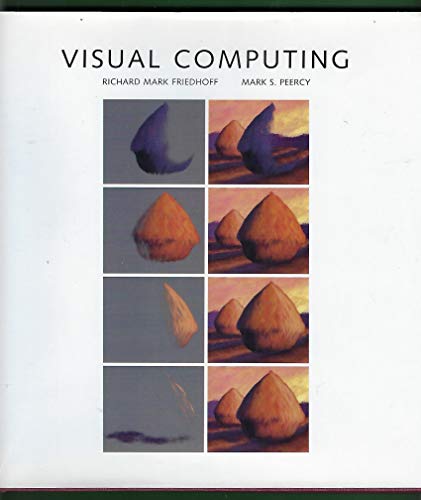 Beispielbild fr Visual Computing zum Verkauf von Novel Ideas Books & Gifts