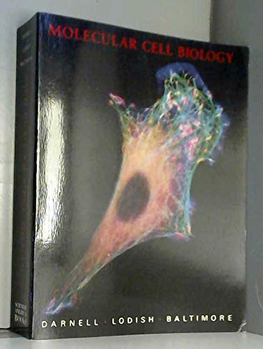 Beispielbild fr Molecular Cell Biology zum Verkauf von Better World Books Ltd