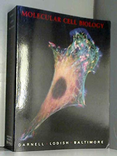 Stock image for Molecular Cell Biology for sale by Irish Booksellers