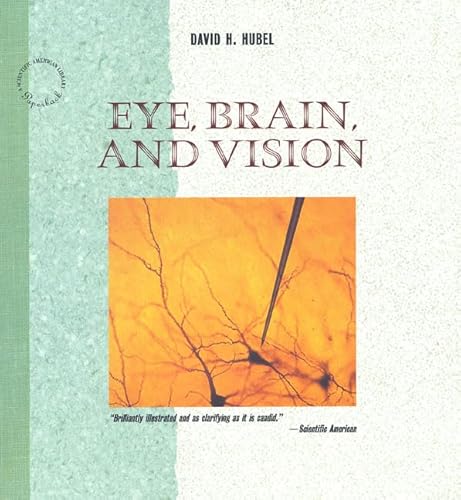 Beispielbild fr Eye, Brain and Vision zum Verkauf von Better World Books