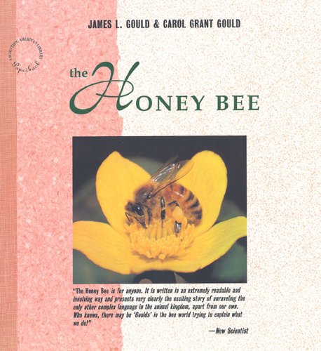9780716760108: The Honey Bee ("Scientific American" Library)