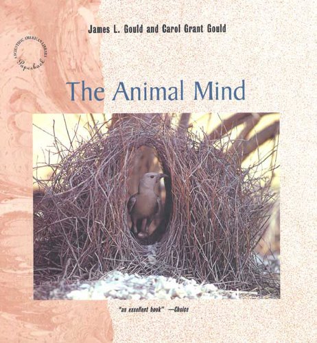 Imagen de archivo de The Animal Mind a la venta por Once Upon A Time Books