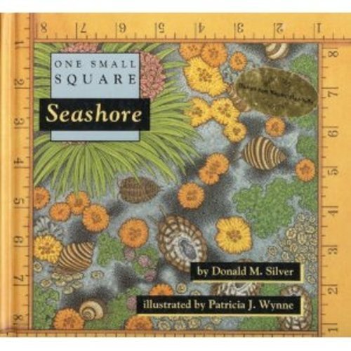 9780716765110: Seashore (One Small Square)