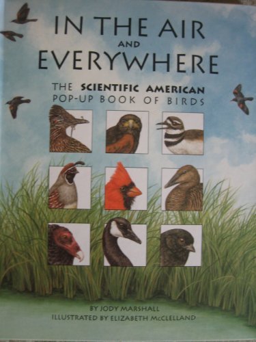 Beispielbild fr In the Air and Everywhere: The Scientific American Pop-Up Book of Birds zum Verkauf von Ergodebooks