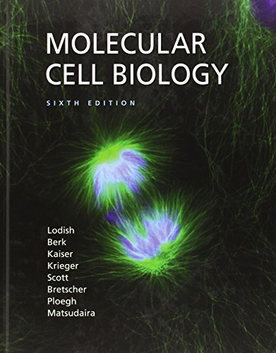 Imagen de archivo de Molecular Cell Biology a la venta por ThriftBooks-Dallas