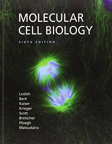 Molecular Cell Biology 6th Edition By Lodish Harvey