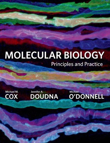 Molecular Biology: Principles and Practice (9780716779988) by Cox, Michael M.; Doudna, Jennifer; O'Donnell, Michael