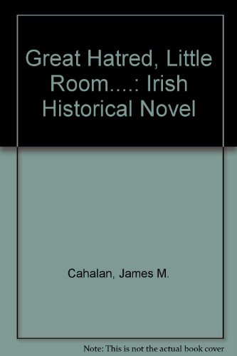 Imagen de archivo de Great Hatred, Little Room: The Irish Historical Novel a la venta por Kennys Bookstore