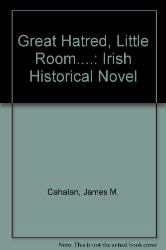 Stock image for Great Hatred, Little Room: The Irish Historical Novel for sale by Kennys Bookstore
