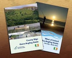 Stock image for Game Angling (Irish Angling Guides) for sale by Ergodebooks