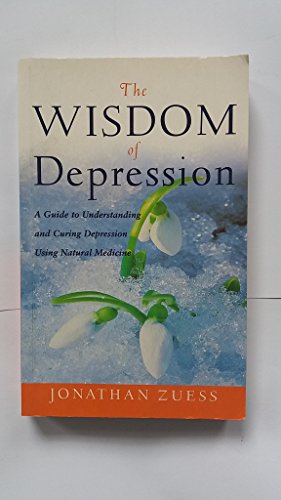 9780717128747: The Wisdom of Depression: A Guide to Understanding Depression Using Natural Medicine