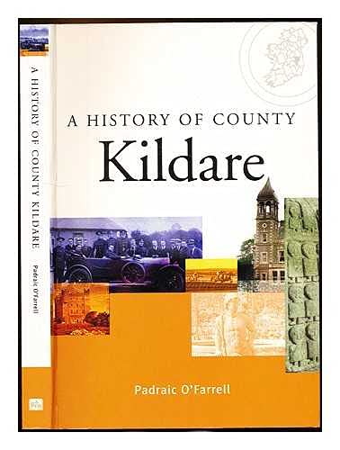 9780717134625: A History of County Kildare