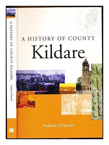 Stock image for A History of County Kildare for sale by WorldofBooks