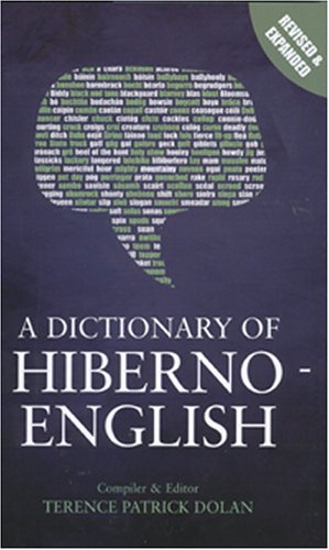 9780717135356: A Dictionary of Hiberno English