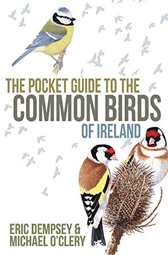 9780717151097: The Pocket Guide to the Common Birds of Ireland