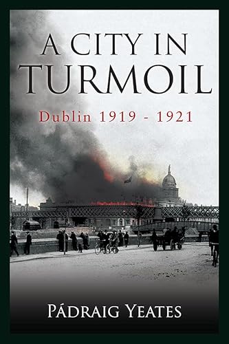 9780717154654: A City in Turmoil: Dublin 1919-1921