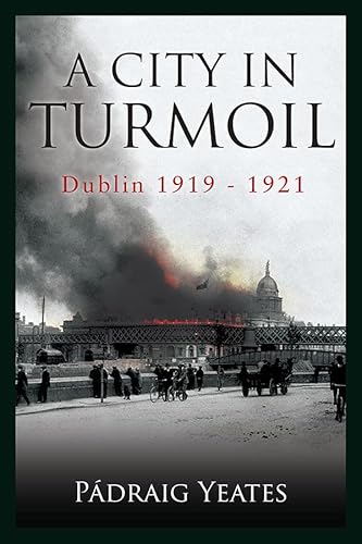 9780717154654: A City in Turmoil: Dublin 1919 - 1921