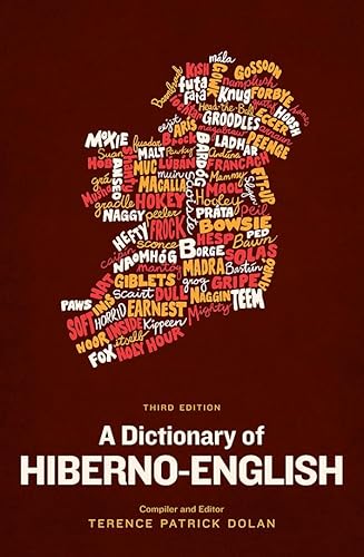 9780717158607: A Dictionary of Hiberno-English: The Irish Use of English