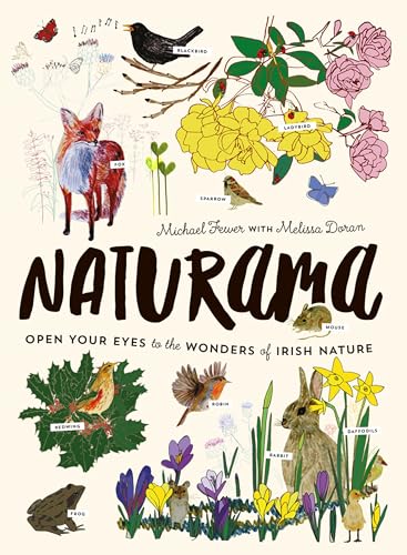 Beispielbild fr Naturama: Open Your Eyes to the Wonders of Irish Nature (What Can You See) zum Verkauf von WorldofBooks